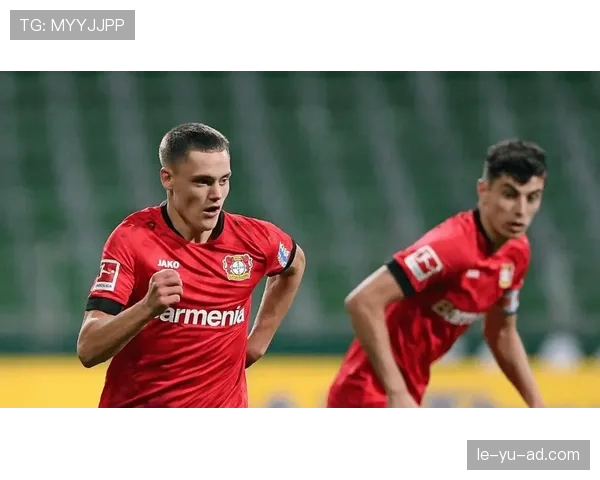 哈弗茨职业轨迹