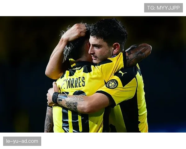 南美杯最新舆论评价与赛事反响