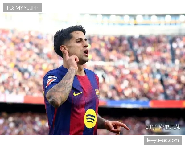 坎塞洛比赛阅读能力解析 坎塞洛比赛阅读能力解析